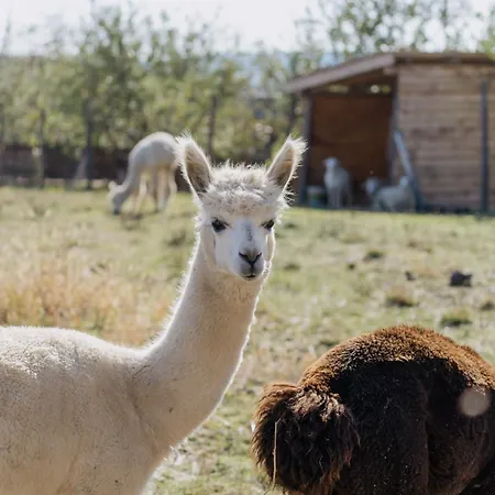 Feelmore Tiny House * 埃格尔