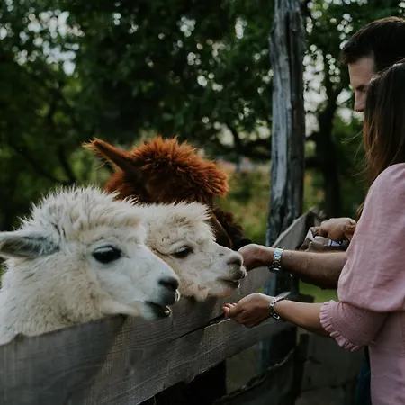 Feelmore Tiny House Дом отдыха Эгер