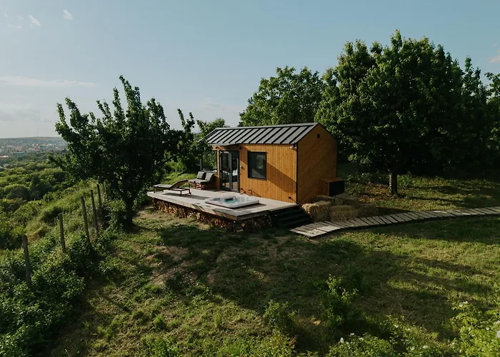 Feelmore Tiny House *